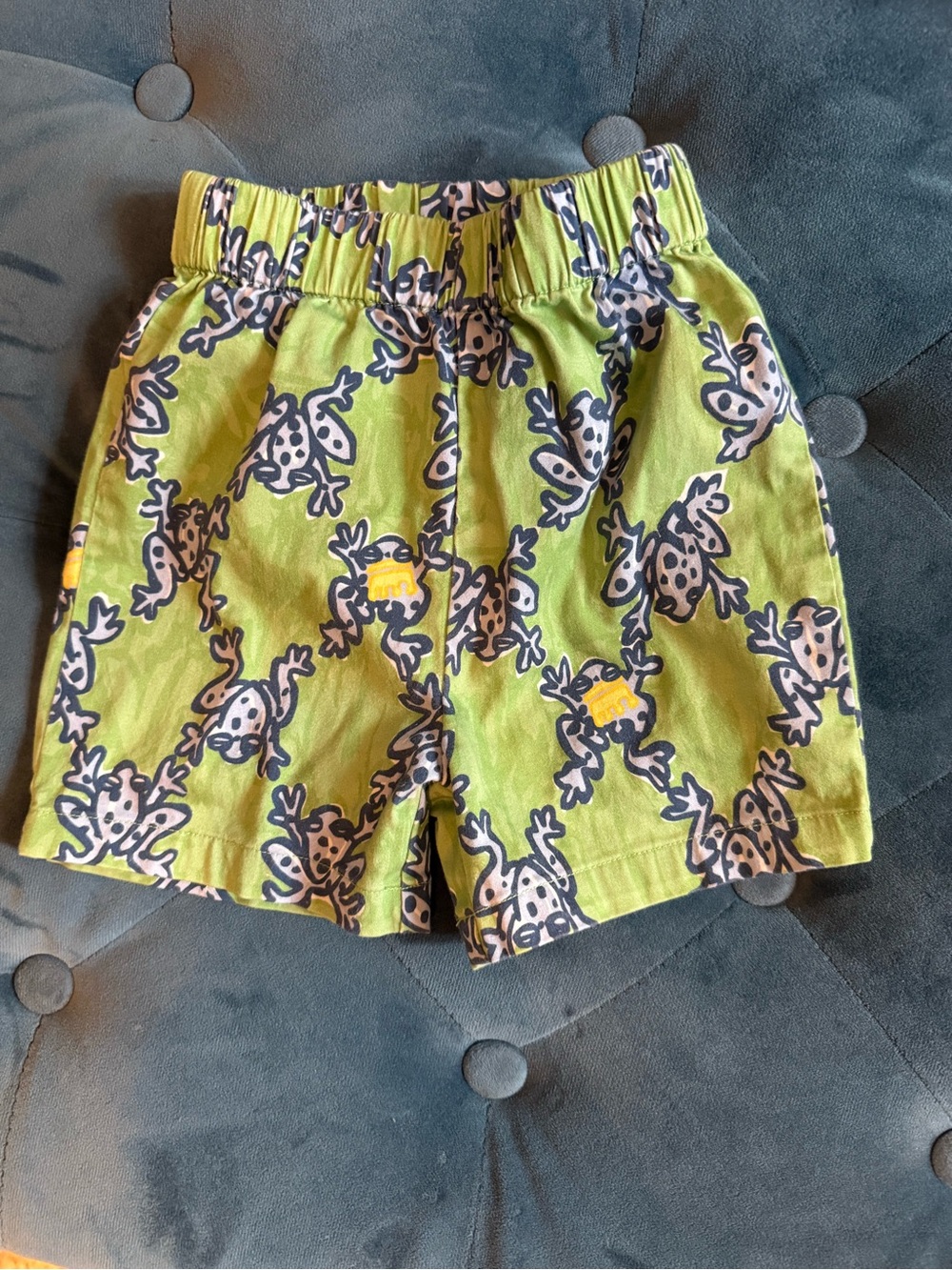 Classic Prep green Frog Prince Print Kids Shorts